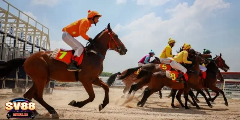 Giới thiệu trò chơi cá cược đua ngựa kịch tính