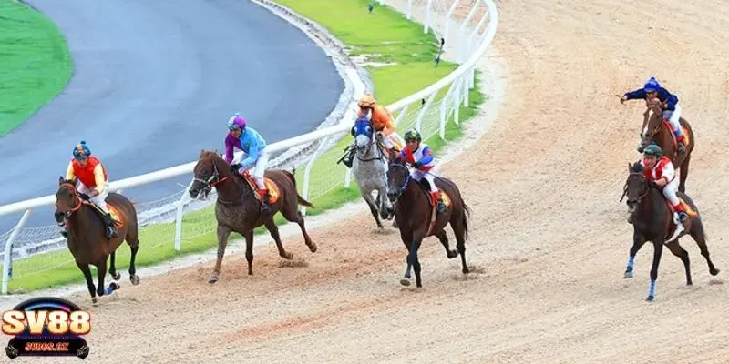 cá cược đua ngựa