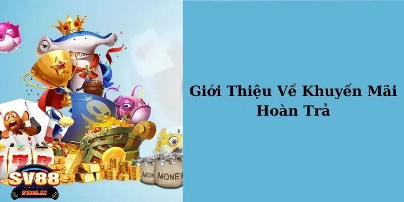 SV88 hoàn trả cược thua Tổng quan về chương trình khuyến mãi SV88 hoàn trả cược thua