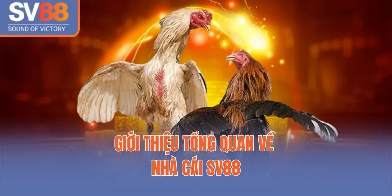 SV88 8 Giới thiệu tổng quan về nhà cái SV88